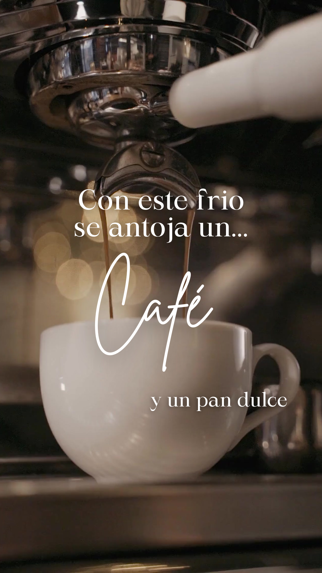 Mami Cafe 14oz